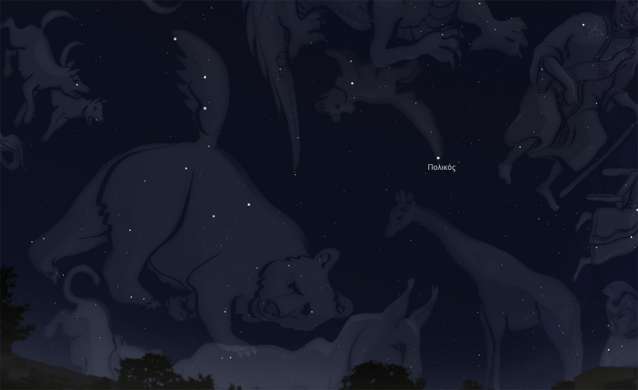 οι αστερισμοί της Μεγάλης και της Μικρής Άρκτου στον νυχτερινό ουρανό - μορφή
