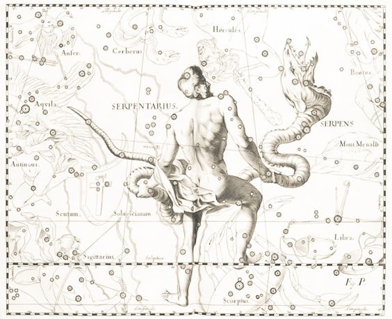 Ophiuchus Serpentarius Constellation drawing Firmamentum Sobiescianum sive uranographia vol III from Prodromus Astronomiae Johannes Hevelius 1690